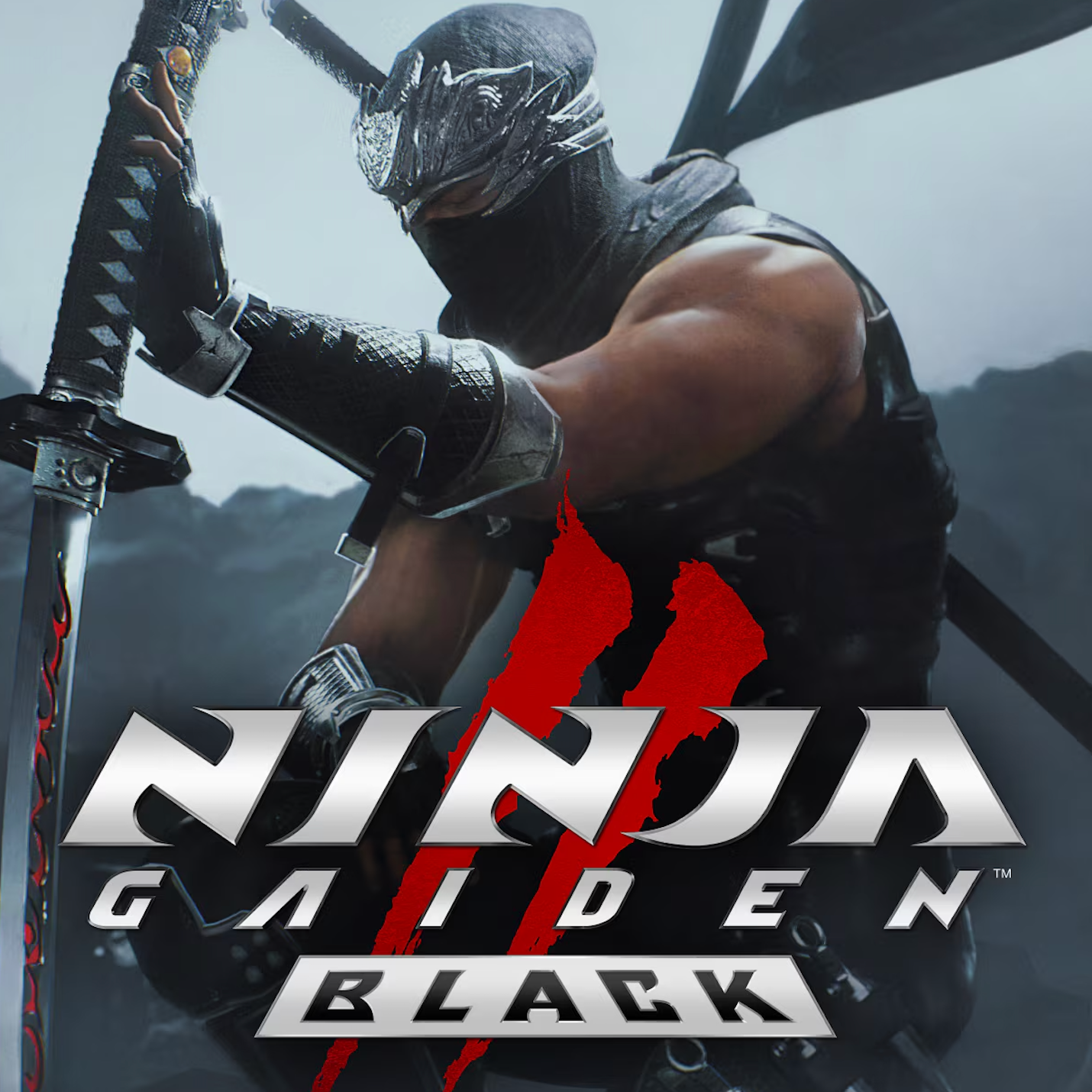 Ninja Gaiden 2 Black