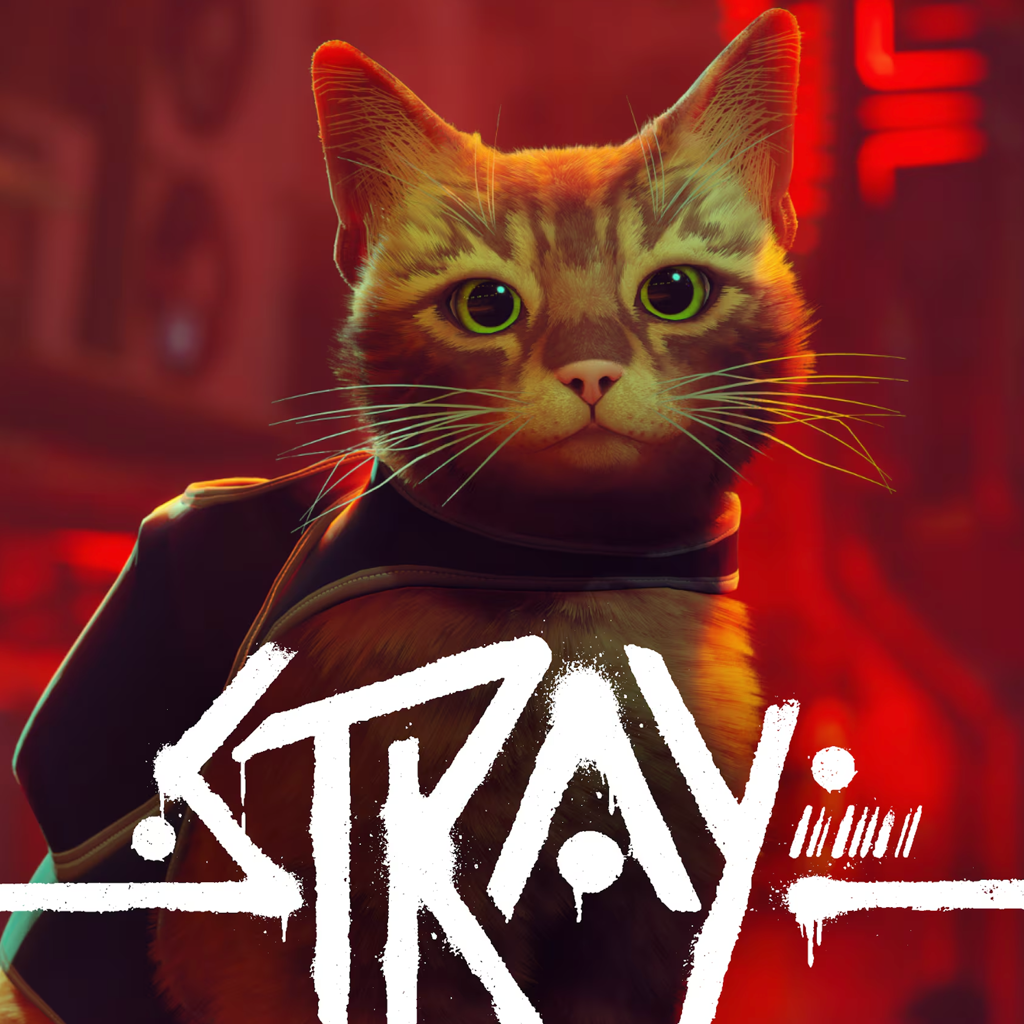 Stray